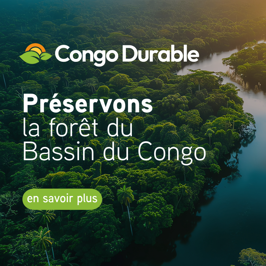 Préservation de la forêt du bassin du Congo